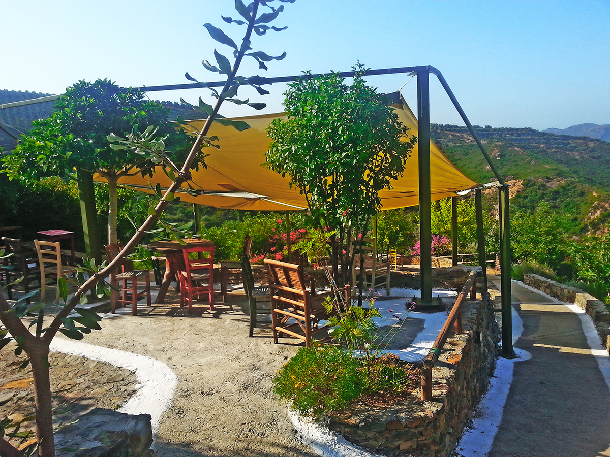 Botanical Park& Gardens_Skordalou_Kydonia_Plant_Species_Greek_From_The_Whole_World_Chania-greece