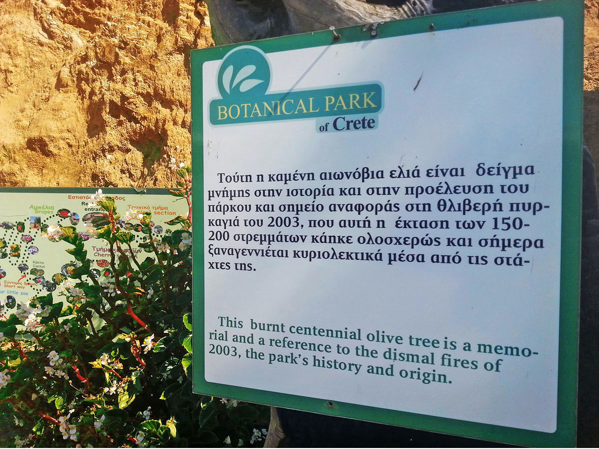 Botanical Park-&-Gardens_Skordalou_Kydonia_Plant_Species_Greek_From_The_Whole_World_Chania-green