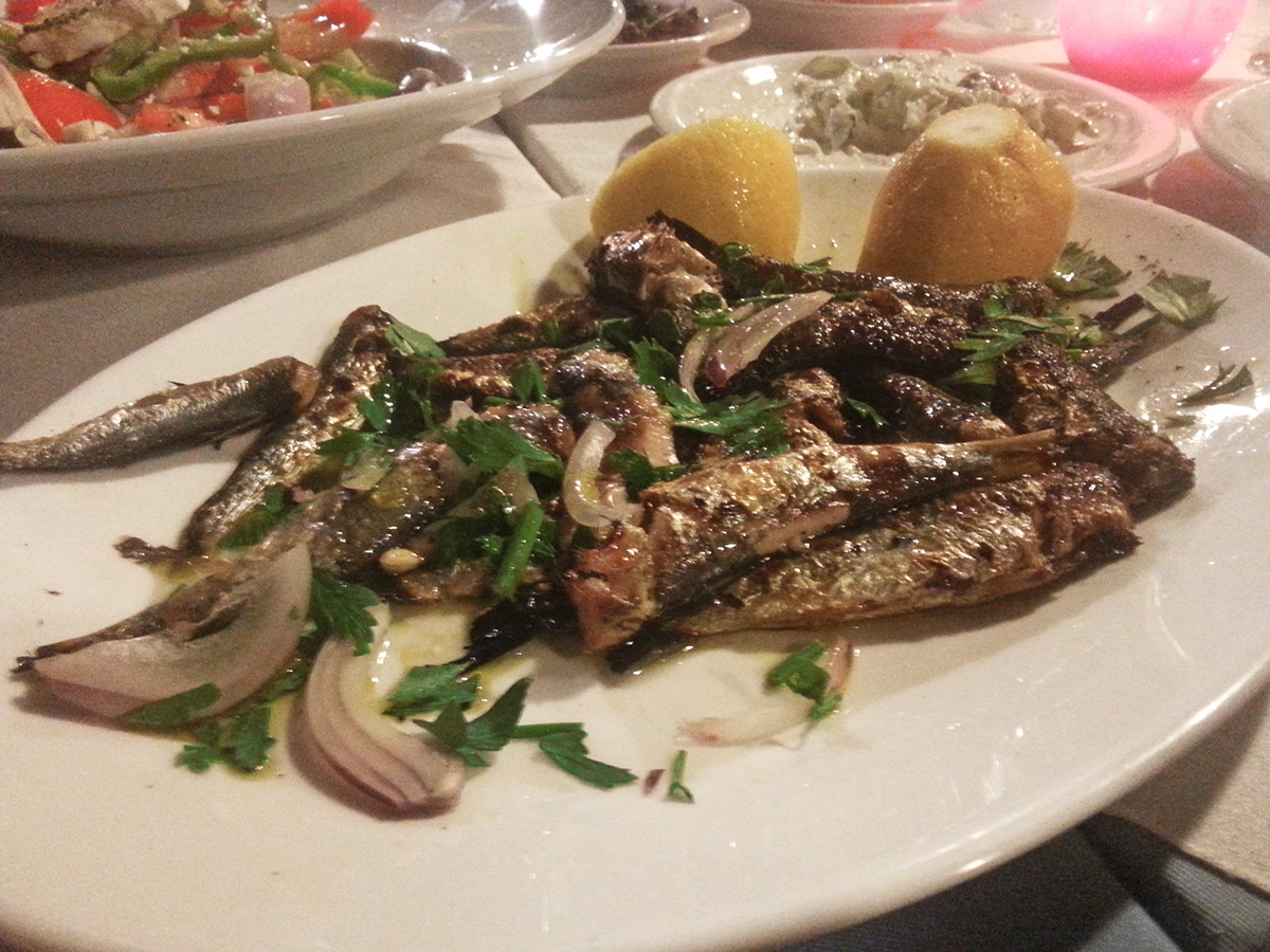 Salavantes_Tavern_By_The_Sea_Kalamaki_Beach_Coastline_Suburbs_Chania-fresh-fish