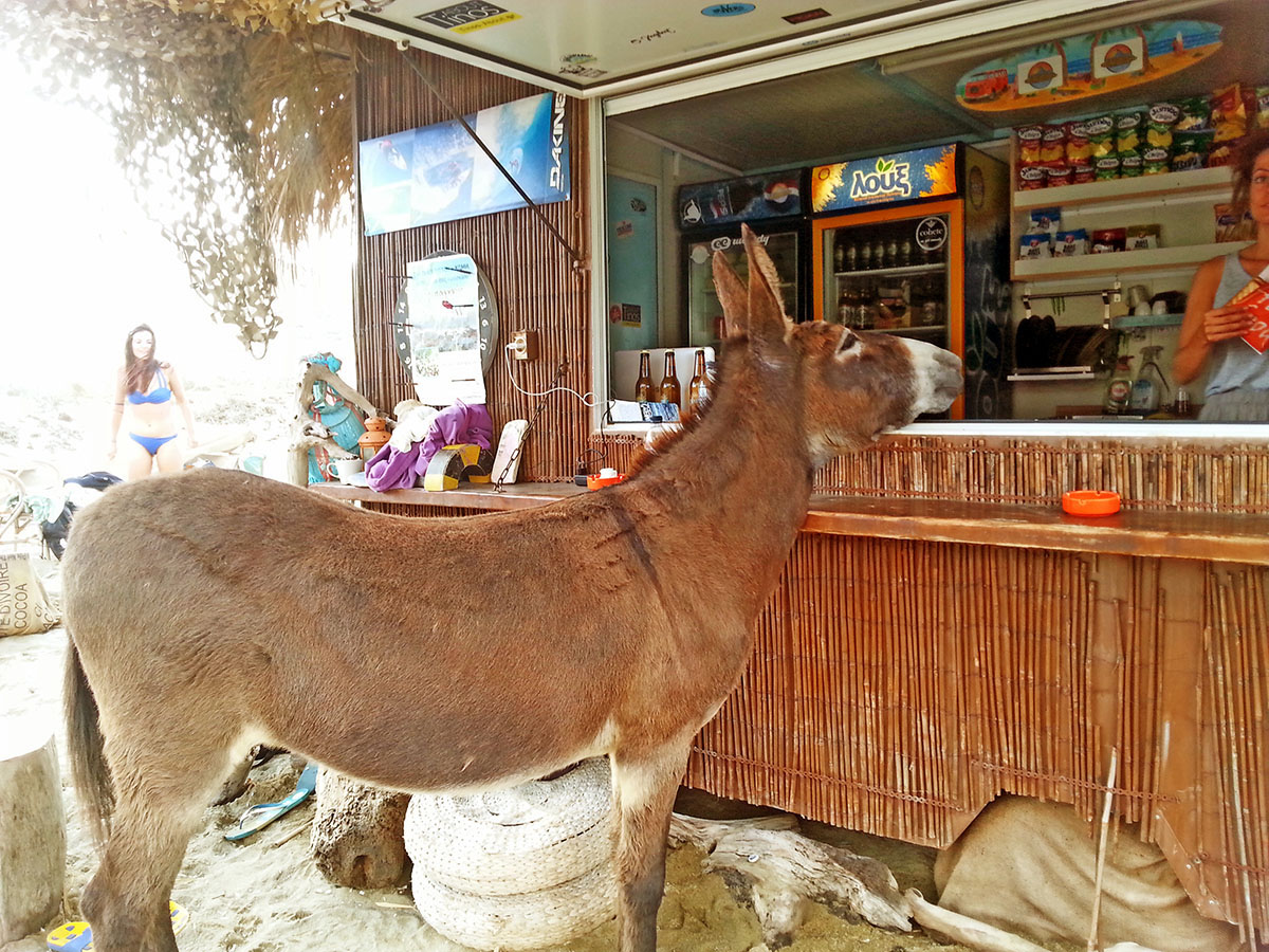 tinos-greek-island-beaches-tourism-snack-on-the-beach-big-kolympithra