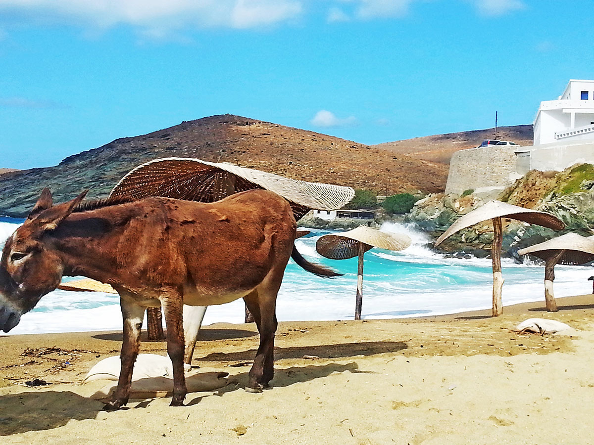 tinos-greek-island-beaches-tourism-vacation-surf-in-big-kolympithra-blue-sea